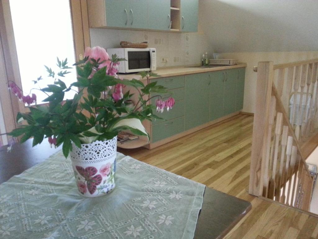 Birutes Apartments room 2