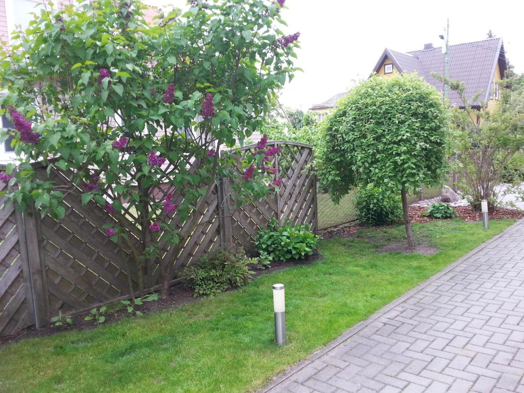 Birutes Apartments room 5